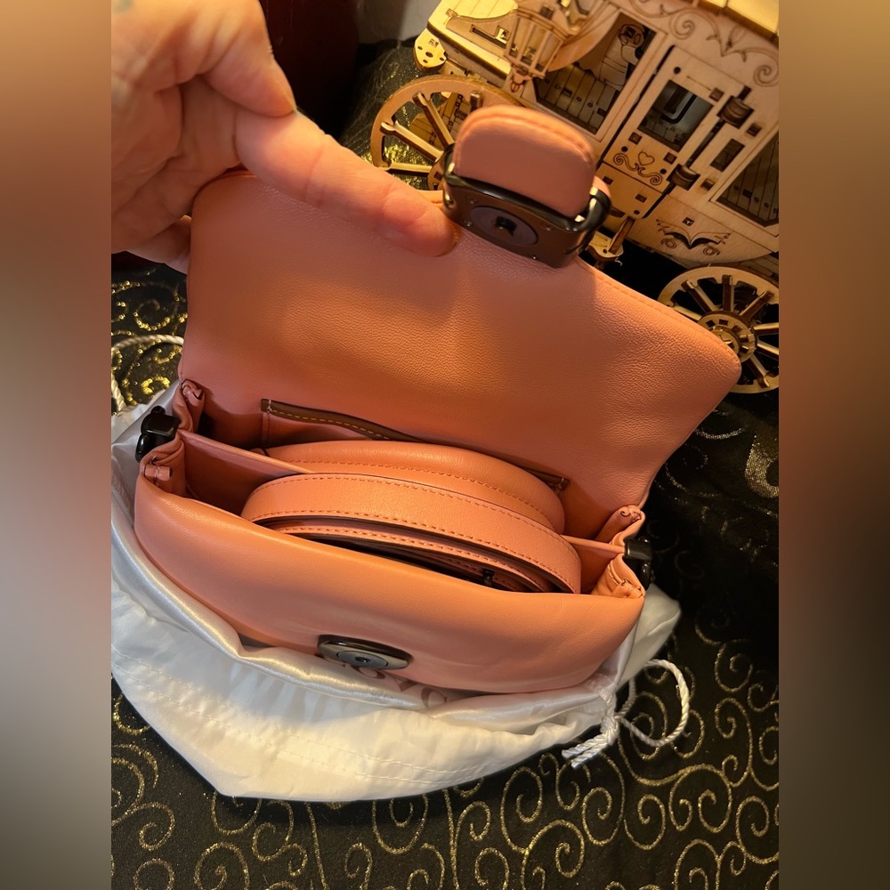 Coach 2021 Candy Pink Nappa Leather Pillow Tabby 18 Crossbody Hand Bag & Dusty - Picture 10 of 16